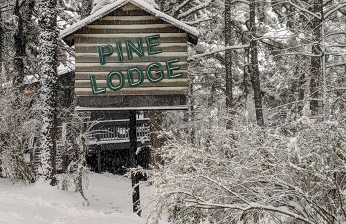 Eureka Springs Cabin | Loblolly Pines Adventure Camp