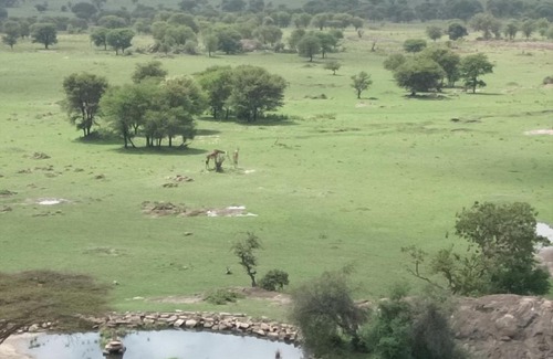 Olakira Camp Cabin | Lobo Wildlife Lodge