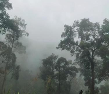 Luang Namtha Other | Local Adventure Laos