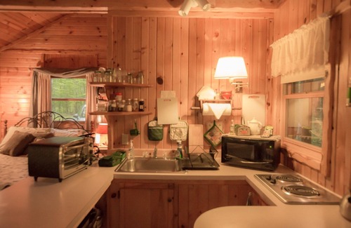 Finlayson Cabin | Located at the Heart of the Solana State Forest in Amongst the Forest Trees