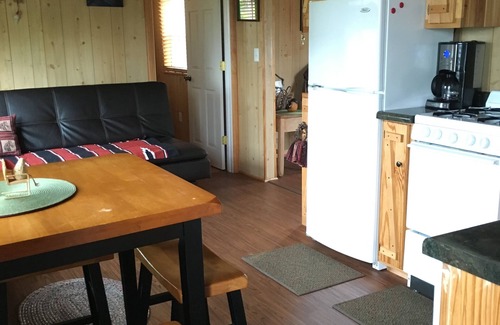 New Plymouth Cabin | Located behind a tree filled garden near our horse barn and Farm Sanctuary.