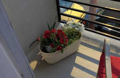 Fishtown Apartment | Located In Fishtown