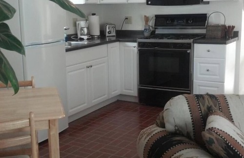 Gunnison Cottage | Located on the Historic Gunnison River-Casa Del Rio
