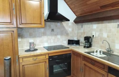 Besse-et-Saint-Anastaise Apartment | Location de la cascade 8 personnes