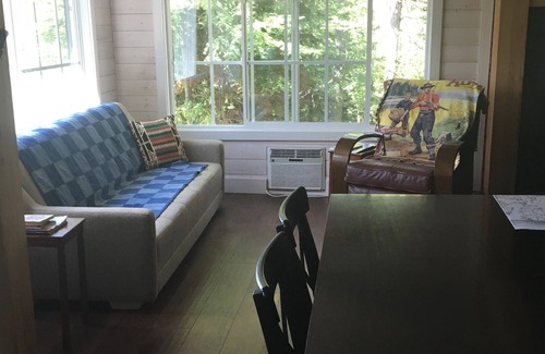 Sioux Narrows Nestor Falls Cottage | LOCATION, LOCATION, LOCATION Private Cove, Beach, Dock