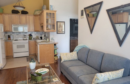 Old Bend Apartment | LOCATION! WALK TO DOWNTOWN AND OLD MILL - ONE BEDROOM ONE BLOCK FROM THE RIVER