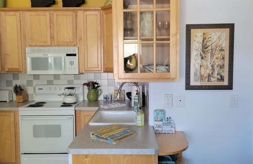 Old Bend Apartment | LOCATION! WALK TO DOWNTOWN AND OLD MILL - ONE BEDROOM ONE BLOCK FROM THE RIVER