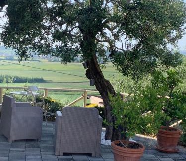 Torre Apartment | Locazione turistica Casa olivo
