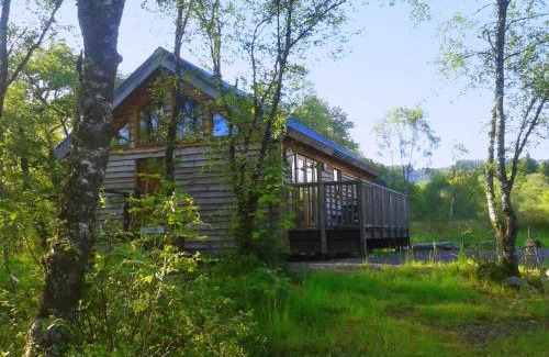 Dallavich Cabin | Loch Aweside Forest Cabins