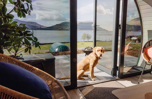 Calgary Cabin | Loch Ba - sleeps 4 guests in 1 bedroom