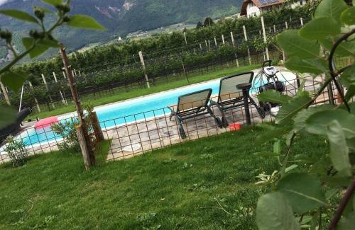 Cornaiano Apartment | Lochererhof
