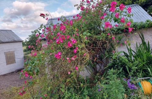 Blackwatertown House | Lock-house, Blackwatertown, UK