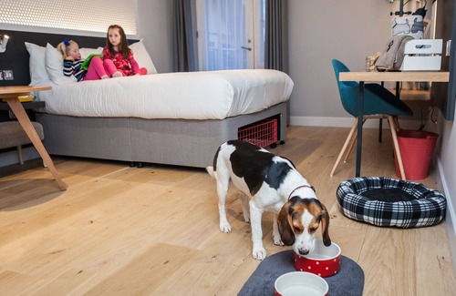 Whiteley Hotel | Lodge at Solent