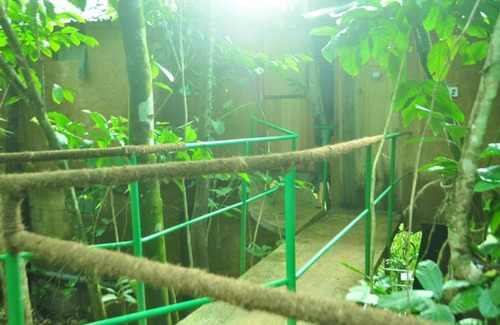 Kithulgala Bed & Breakfast | Lodge in river bank