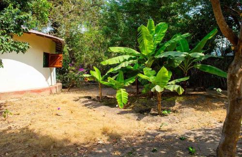 Kafountine Bed & Breakfast | Lodge Jamarek