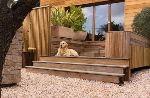 Gareoult House | Lodge Les Oliviers
