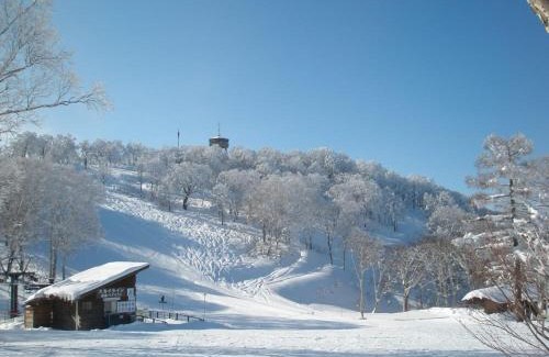 Nozawaonsen House | Lodge Matsuya