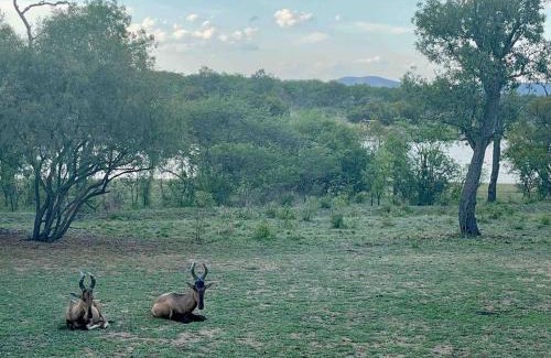 Leeupoort House | Lodge on Watering Hole , Zebula