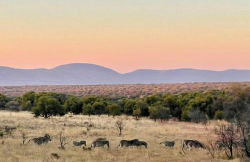 Leeupoort House | Lodge on Watering Hole , Zebula