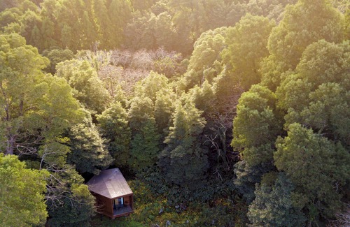 Biscoitos Cabin | (Lodge Vista Floresta)