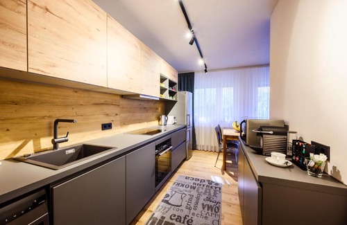 Ludwigshafen Apartment | Loft 1453