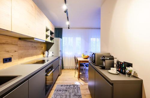 Ludwigshafen Apartment | Loft 1453