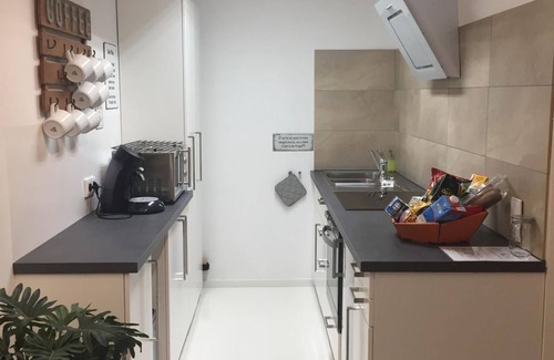 Mainz-Bingen Apartment | Loft 2 - Oppenheim Lofts