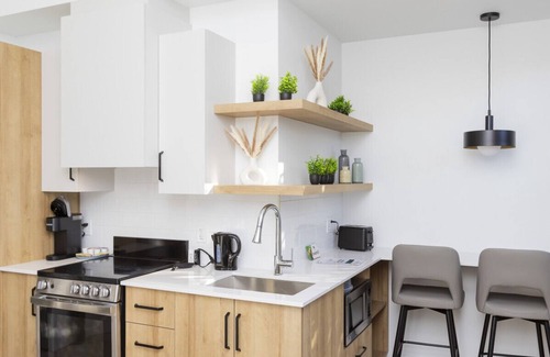 Rimouski-Neigette Apartment | Loft 201 | Rooftop | Downtown