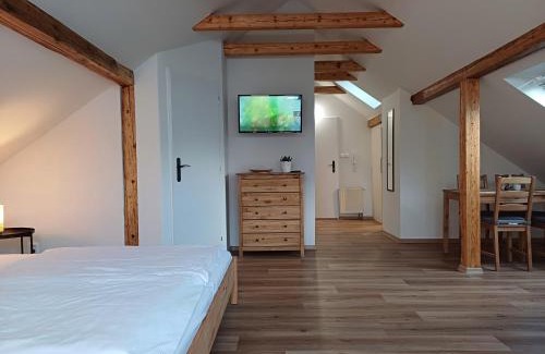 Karlovy Vary Apartment | LOFT Apartment