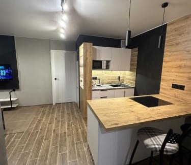 Tiraspol Apartment | Loft apartment