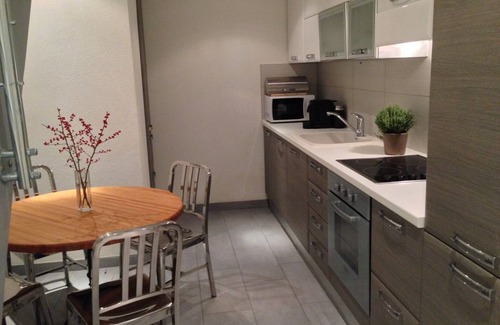 Carouge Apartment | Loft Apartment Vieux Carouge