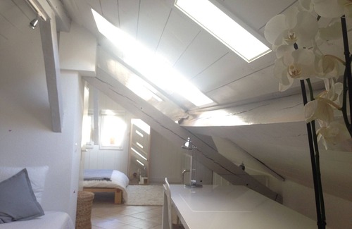 Carouge Apartment | Loft Apartment Vieux Carouge
