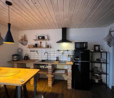 Sluknov Apartment | Loft Apartments