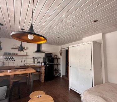 Sluknov Apartment | Loft Apartments