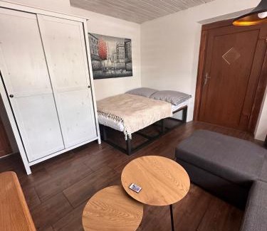 Sluknov Apartment | Loft Apartments