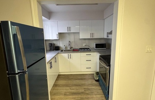 Walkerville Apartment | loft Apt On Wyndotte | 2bed 1bath | Nr tunnel