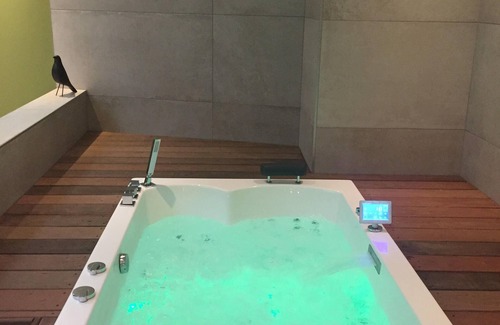 Reims Apartment | Loft comfort with Spa, Hammam and private sauna 2 in Reims