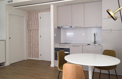 Pontevedra Apartment | Loft con Terraza 3.2