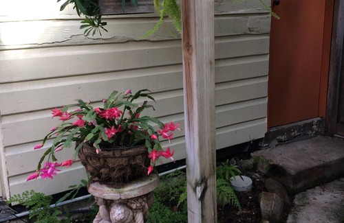 Morpeth Cottage | Loft Cottage in Morpeth, Pets welcome.