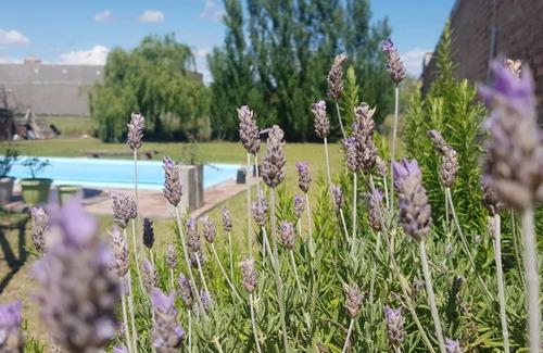 General Acha Bed & Breakfast | Loft en casa particular