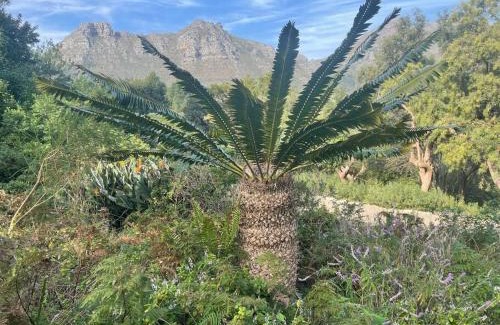 Hout Bay Apartment | Loft first floor unit - views, spacious, bright