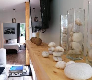 Shefford Apartment | loft in the mountains, near Bromont