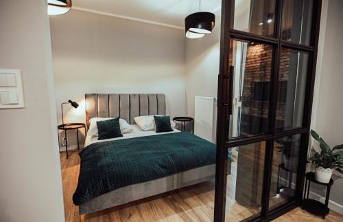 gmina Swieciechowa Apartment | LOFT Luxury Apartment & Parking
