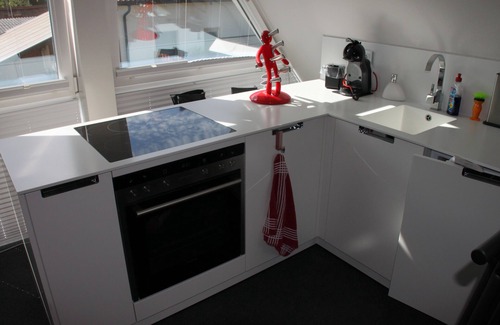 Sebastianstraße Apartment | Loft mit Großer Dachterrasse in Ruhiger Randlage von Münster