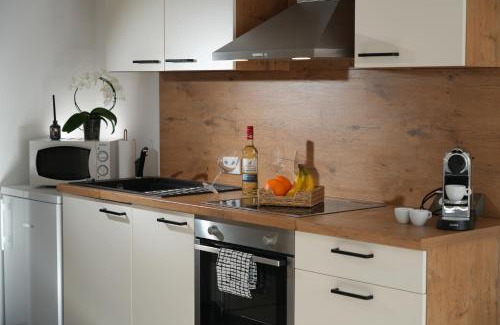 Loerrach Apartment | Loft mit Parkplatz und Balkon