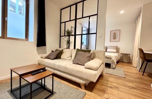 Castres Apartment | Loft Occitane Hyper Centre Castres