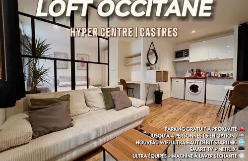 Castres Apartment | Loft Occitane Hyper Centre Castres