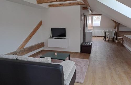 Polna na Sumave Apartment | Loft Polná