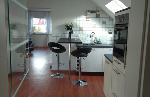 Steinbach Apartment | Loft vacation apartment near Baden-Baden