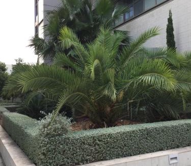 Patraix Apartment | Loft with terrace 24m2, swimming pool and garage